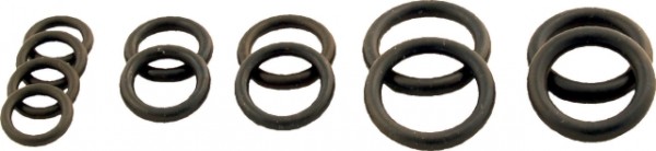 Wolf O-Ring-Set Hydraulikgruppe für CGG